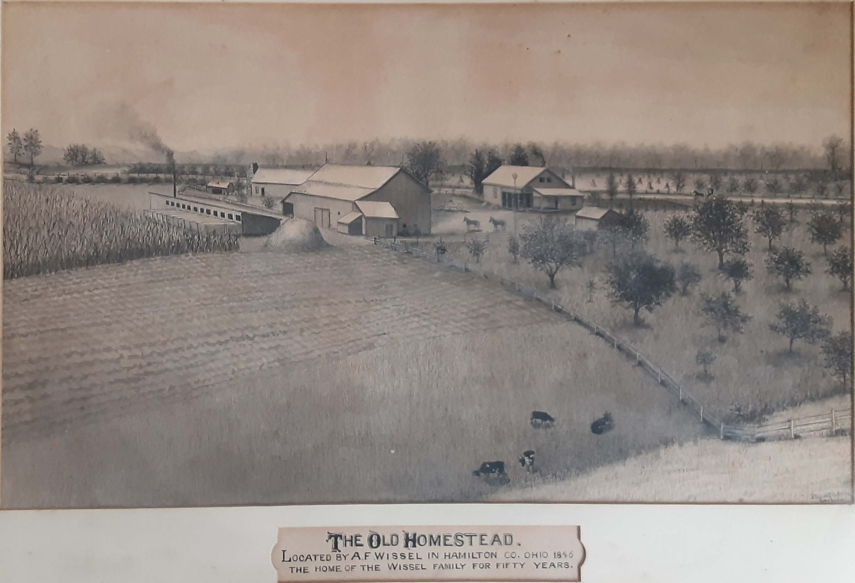 A sketch depicting a farmhouse and barn in the distance wtih an orchard in the lower right, fields to the left, and four small cows at the center bottom.
