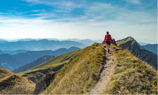 University Press of Colorado - Alt Text Guidelines