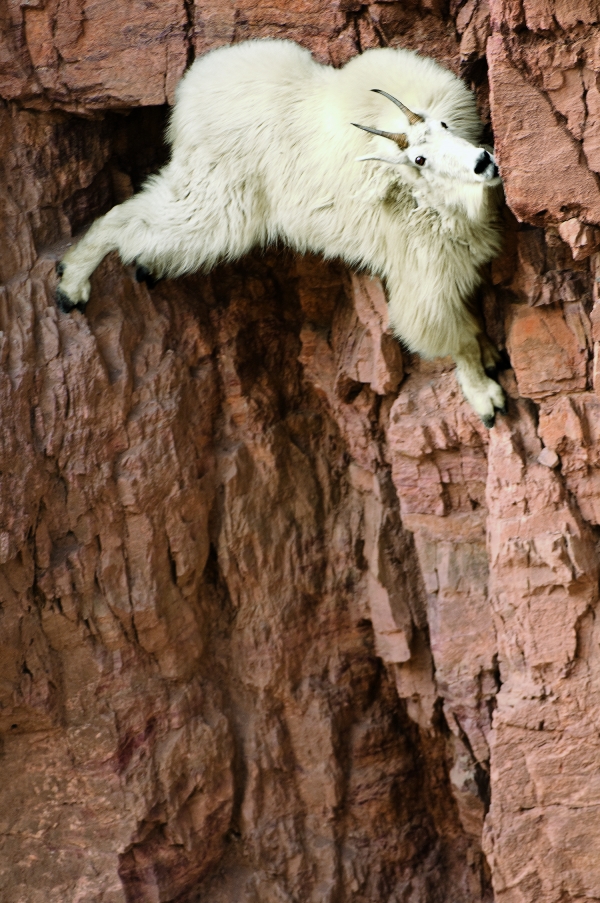 49bd8b547ef08dc22b76ace42c2e4bdb M