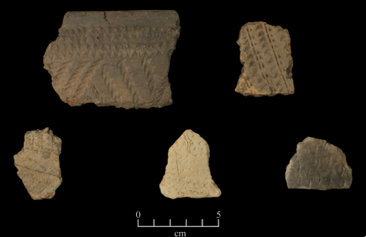 University Press of Colorado - Alt Text Guidelines