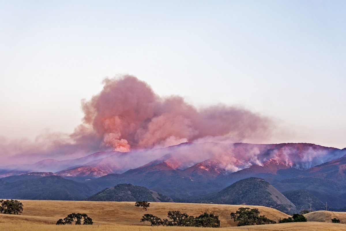University Press of Colorado - Char Miller