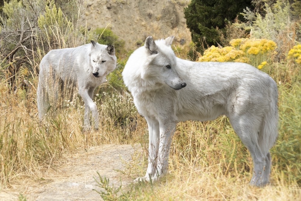 University Press of Colorado - Andrew Gulliford