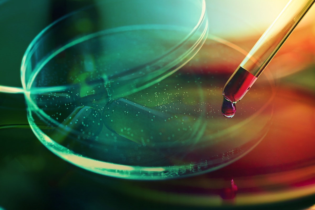 University Press of Colorado - Michelle R Montgomery