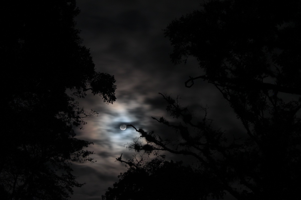 University Press of Colorado - Archaeology