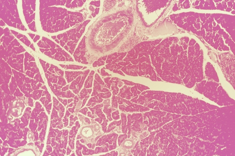 University Press of Colorado - Stephanie G'Schwind