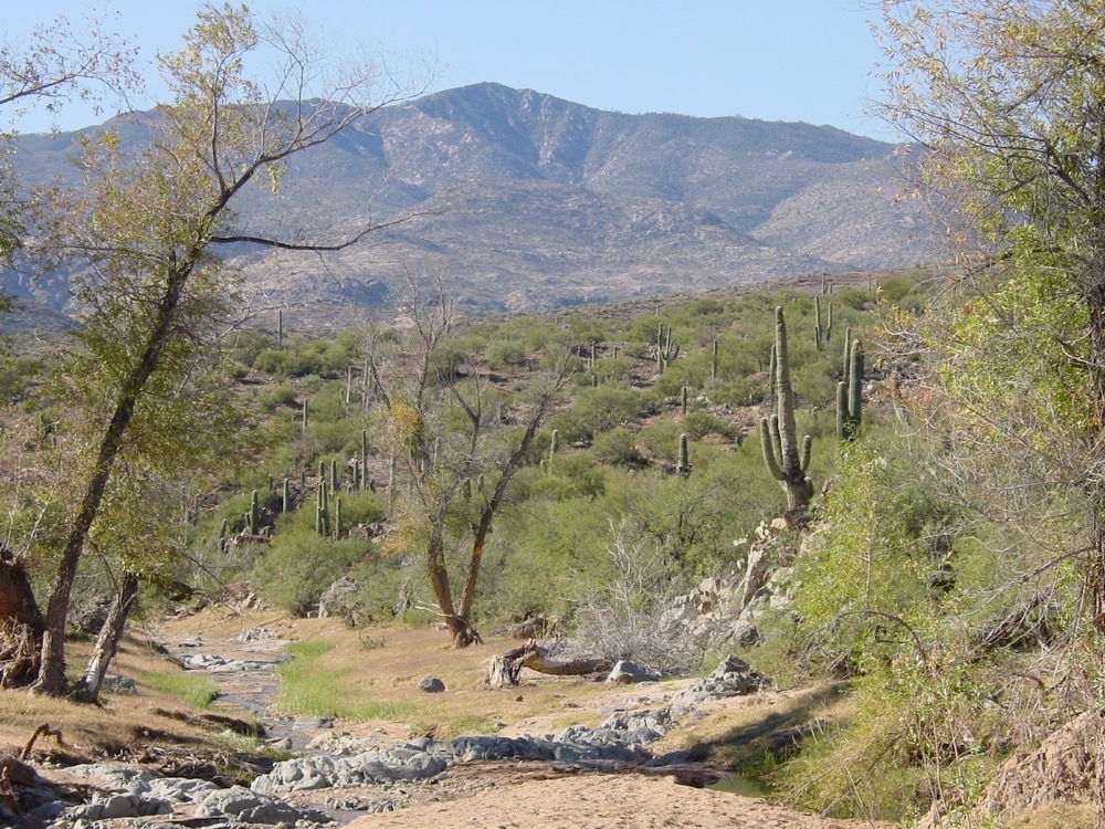 University Press of Colorado - Ellen Wohl
