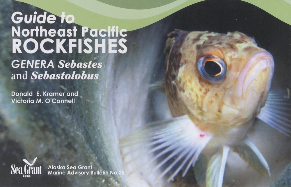 University Press of Colorado - Guide to Northeast Pacific Flatfishes
