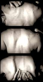 University Press of Colorado - Digital Press