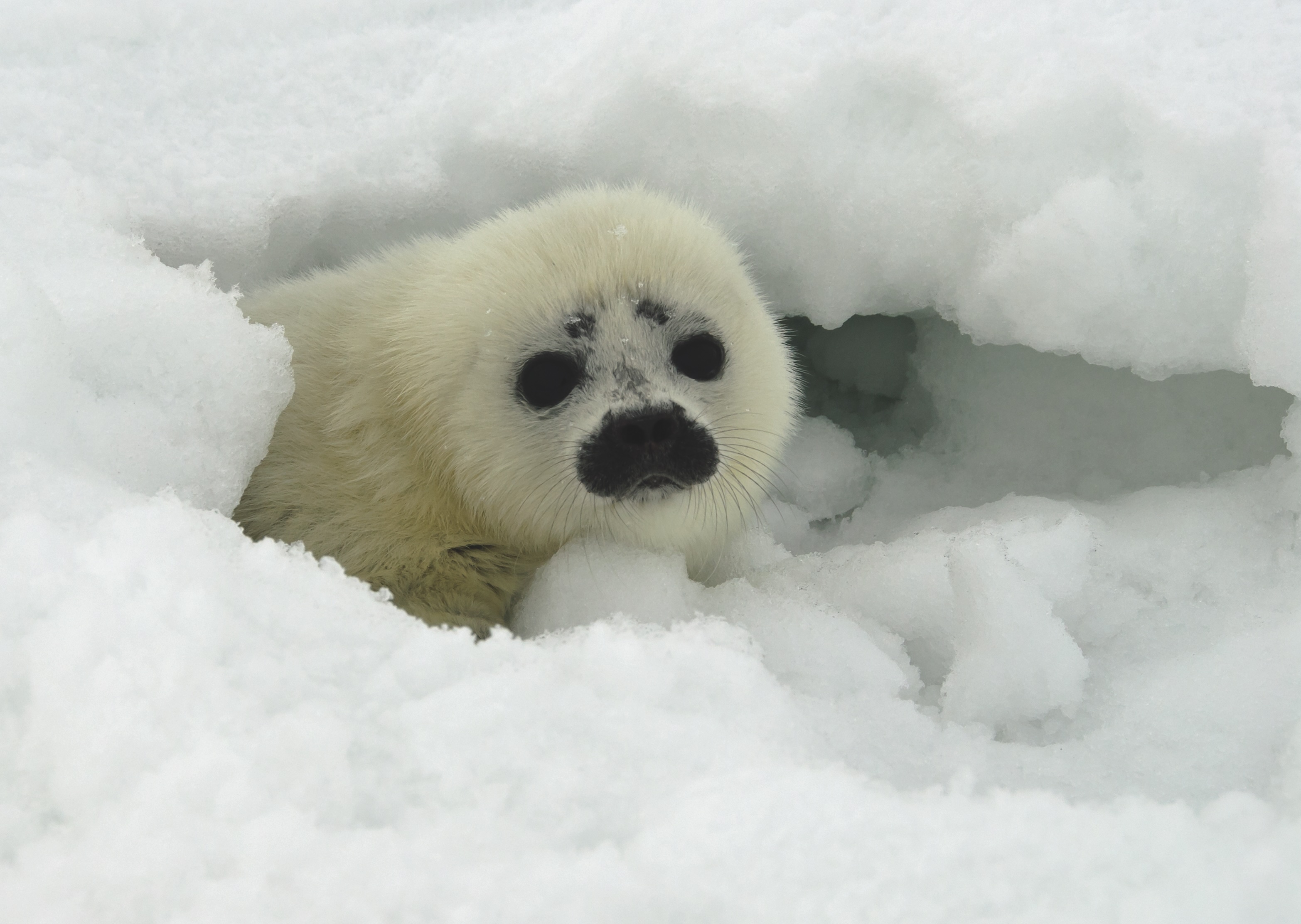 University Press of Colorado - 2023&ndash;2024 Annual Report